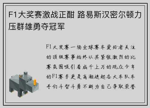F1大奖赛激战正酣 路易斯汉密尔顿力压群雄勇夺冠军