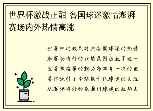 世界杯激战正酣 各国球迷激情澎湃 赛场内外热情高涨