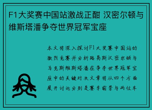F1大奖赛中国站激战正酣 汉密尔顿与维斯塔潘争夺世界冠军宝座