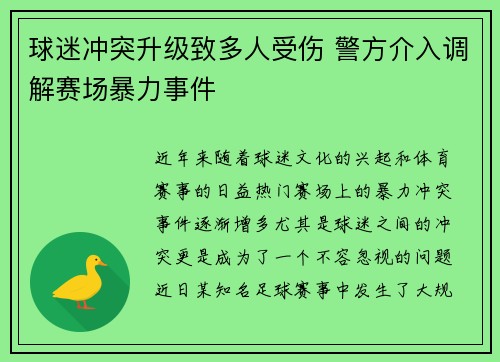 球迷冲突升级致多人受伤 警方介入调解赛场暴力事件