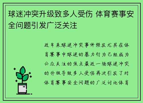 球迷冲突升级致多人受伤 体育赛事安全问题引发广泛关注