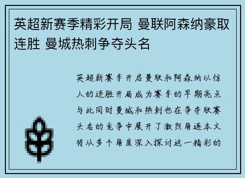 英超新赛季精彩开局 曼联阿森纳豪取连胜 曼城热刺争夺头名